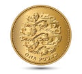 British One pound coin with three lions. Royalty Free Stock Photo